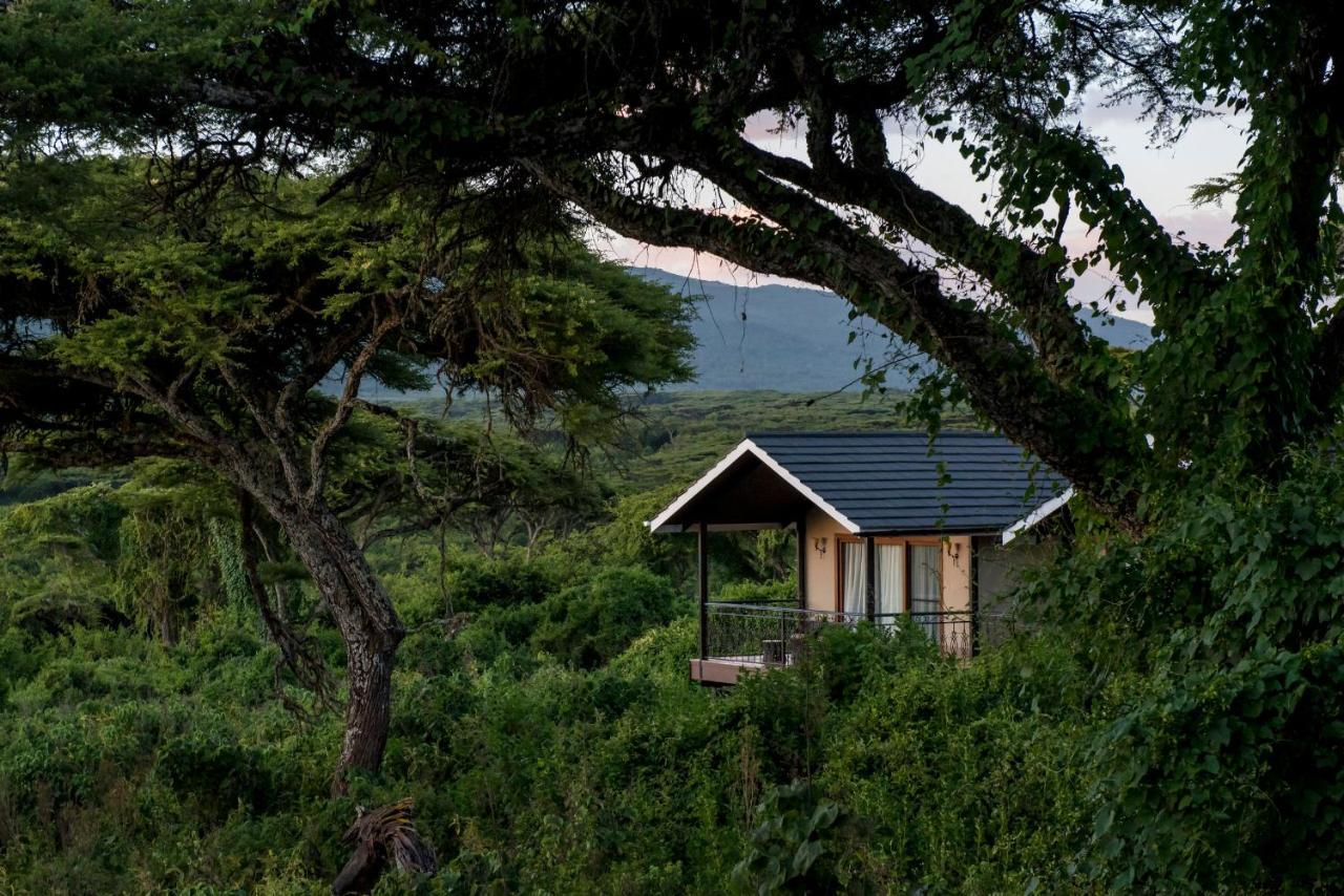 Lions Paw Ngorongoro Hotel Exterior photo