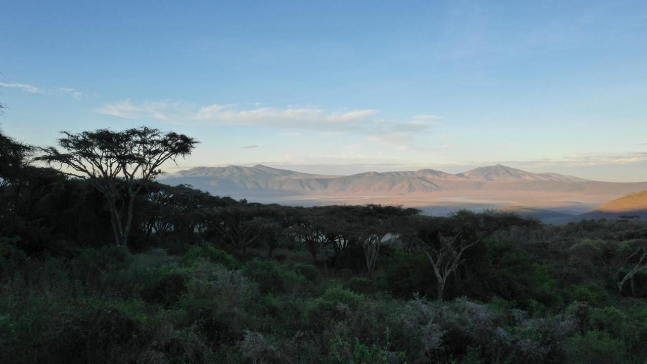 Lions Paw Ngorongoro Hotel Exterior photo