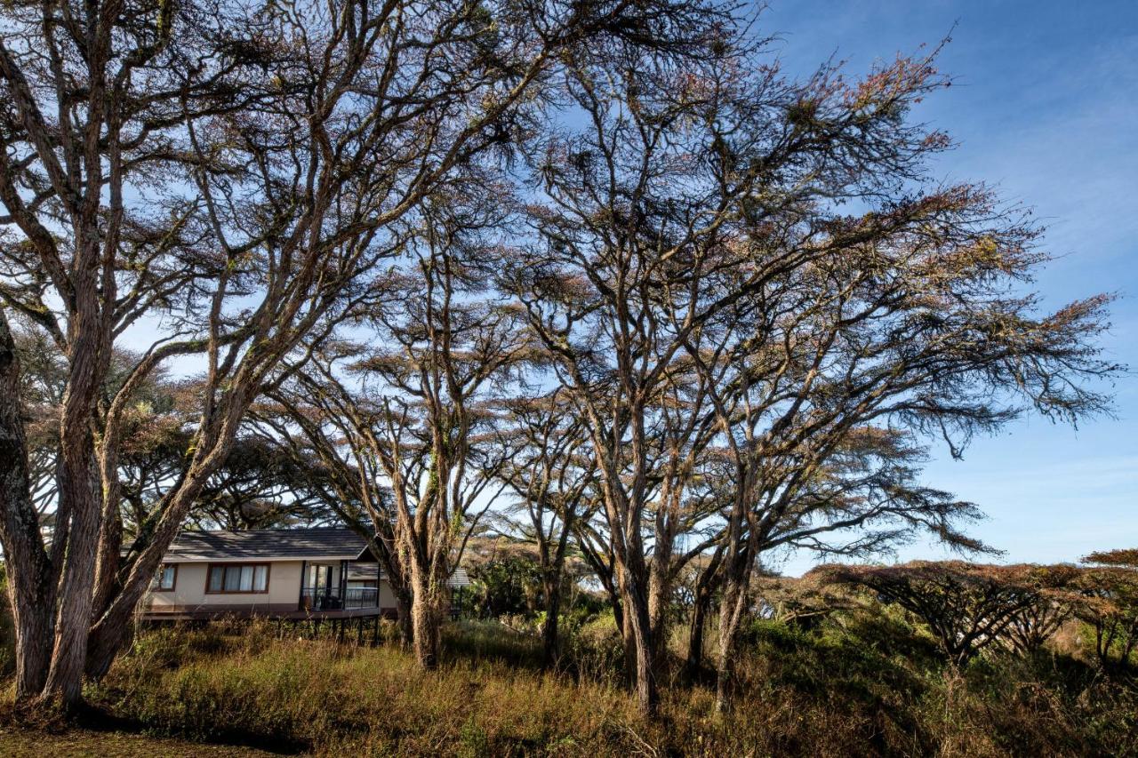 Lions Paw Ngorongoro Hotel Exterior photo